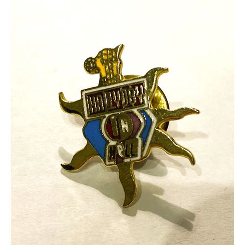 Pins Musique Johnny Hallyday Soleil Doré