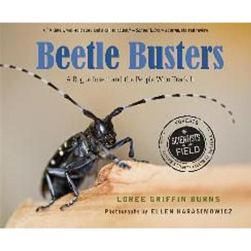 Beetle Busters