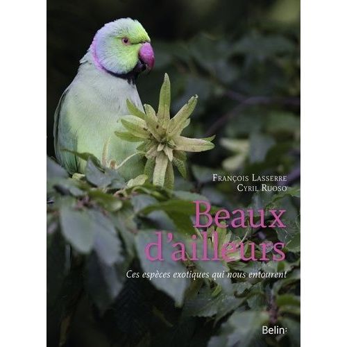 Beaux D'ailleurs - Ces Espèces Exotiques Qui Nous Entourent