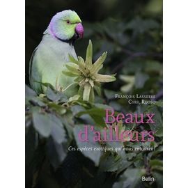 Beaux D'ailleurs - Ces Espèces Exotiques Qui Nous Entourent