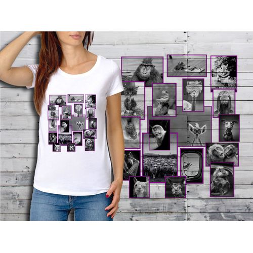 T-Shirt Blanc Femme Taille Xl Collection Funny Animals 02