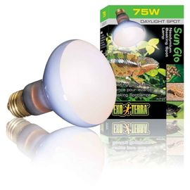 Ampoule Daylight Basking Spot - Exo Terra - 75w