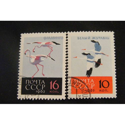Oiseaux 1962