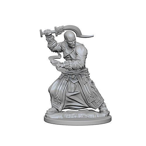 Wizkids Pathfinder Deep Cuts Unpainted Miniatures Human Male Monk