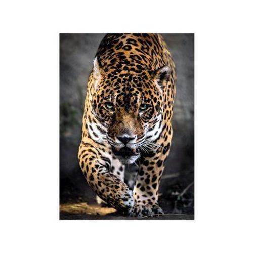 Puzzle Adulte : Le Jaguar - Collection Animaux Sauvages - 1000 Pieces