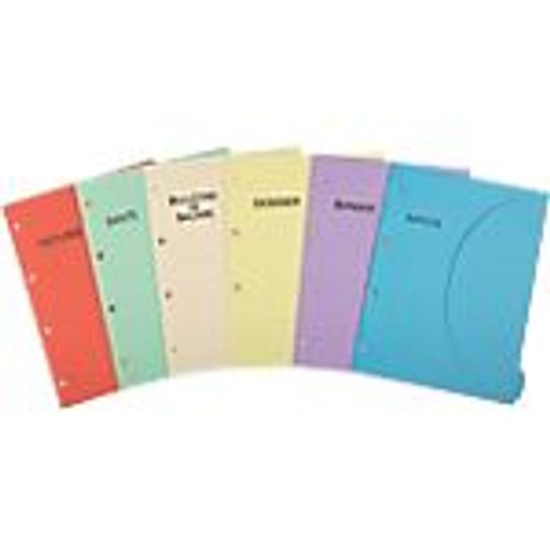 Pochettes Smartfolder Thèmes A4 300 G/M² Assortiment - 6 Unités