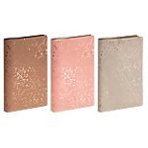 Semainier Exacompta Méline 2019 1 Semaine Sur 2 Pages 16 (H) X 9 (L) Cm Assortiment