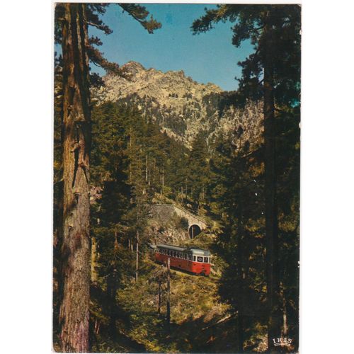Carte Postale Oblitérée Et Timbrée - Charmes Et Couleurs De La Corse - La Forêt De Vizzavona