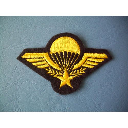 Brevet Militaire Parachutiste / Troupes Aeroportees / Bmp