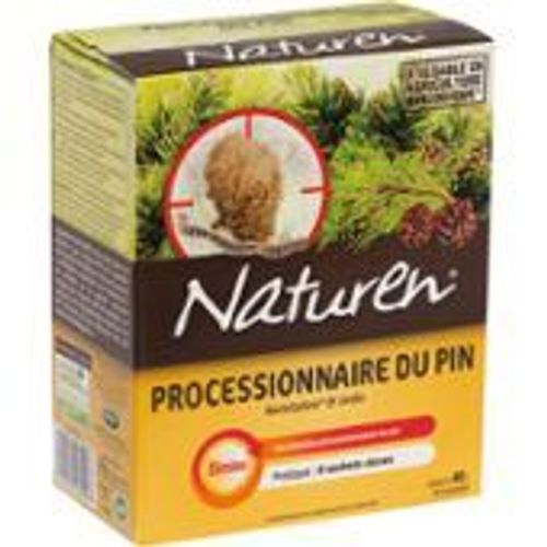 Processionnaire Du Pin