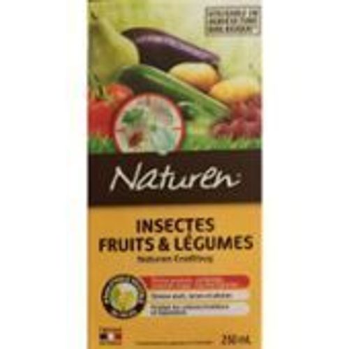 Insectes Fruits Et Legumes