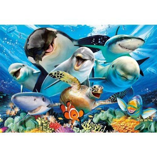 Puzzle Fond Marins Dauphins Requins Et Orque - Collection Animaux De La Mer - 500 Pieces