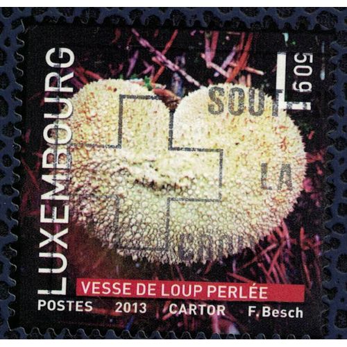 Luxembourg 2013 Oblitéré Used Champignon Lycoperdon Perlatum Vesse De Loup Perlée