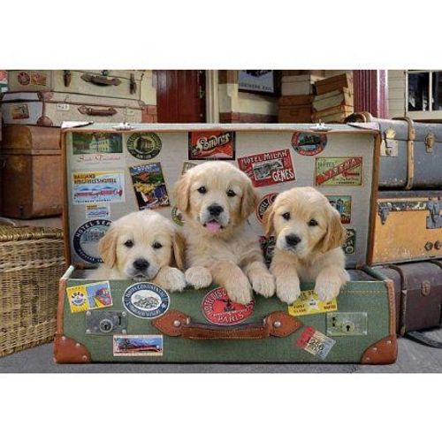 Puzzle Adulte 3 Chiots Dans La Valise - Collection Animaux - Labrador - 500 Pieces - Educa