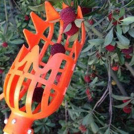 Ramasse fruits - Orange - Noir - Cueilleur de fruits pour Parc Ferme Jardin