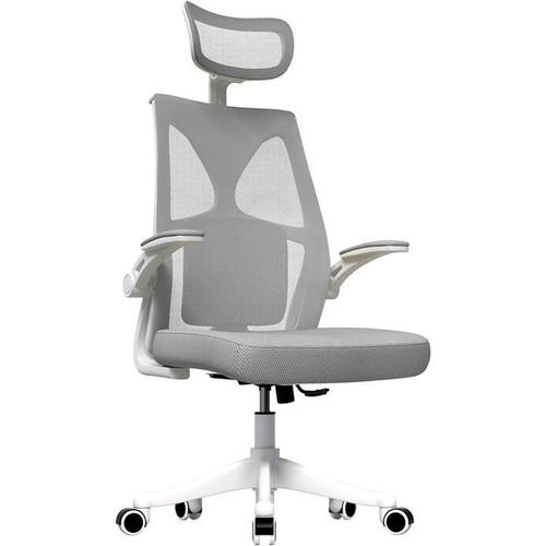 Yuenfong Chaise De Bureau Ergonomique Avec Appui-Tête Réglable, Soutien Lombaire Et Accoudoirs Charge Maximale :150 Kg,Gris