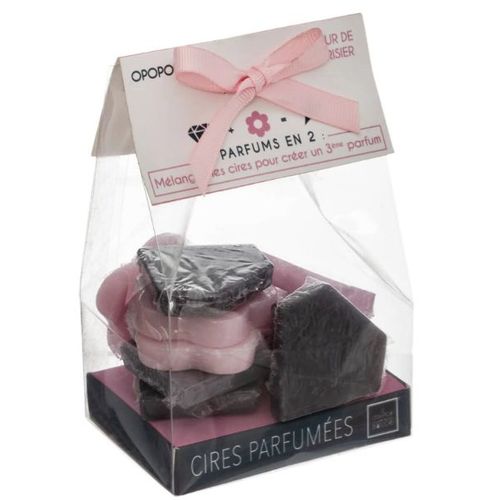 ATMOSPHERA Sachet 10 Pièces Cires Parfumées 2 Parfums Opoponax Et Fleur De Cerisier 90 G