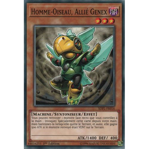 Homme Oiseau, Allié Genex Sdpl-Fr016 Commune