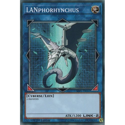 Lanphorhynchus Sdpl-Fr042 Commune