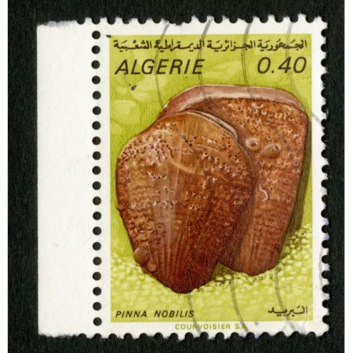 Timbre Oblitéré Algérie, Pinna Nobilis, 0.40