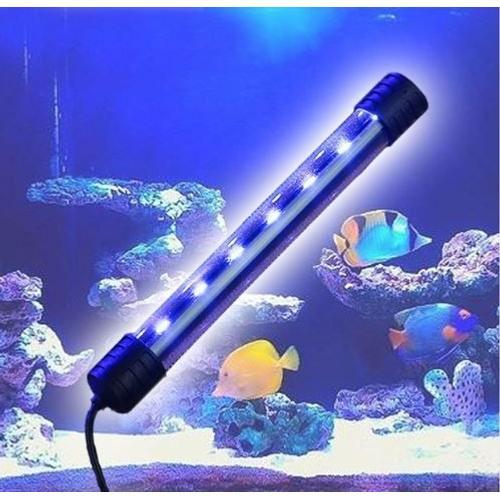 Éclairage néon pour aquarium - Aqualight Solution
