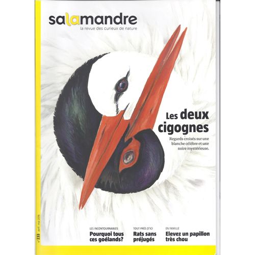 La Salamandre 233 - Les Deux Cigognes