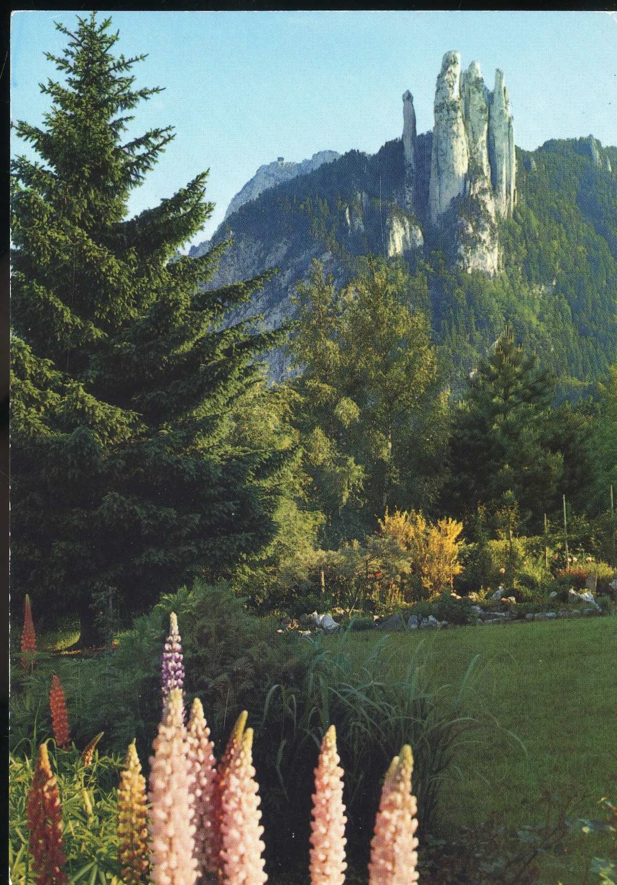 Carte Postale De Saint-Nizier Du Moucherotte (Isère) Les Trois Pucelles