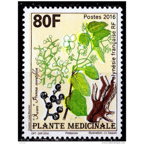 Polynesie Francaise 2016 - Plante Médicinale