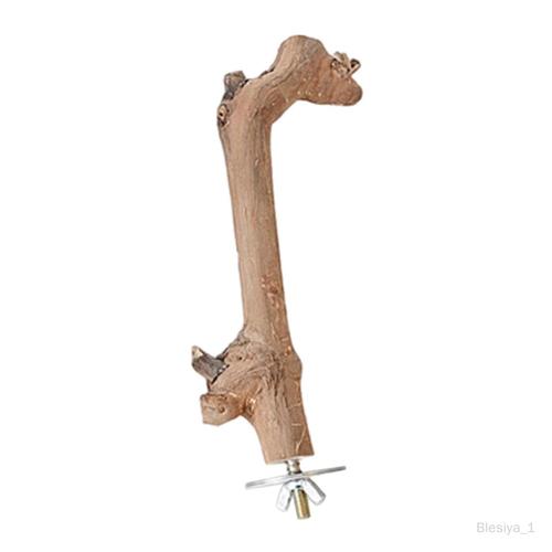 Perche En Bois À Ventouse, Jouet Échelle De Repos Pour , Perruche, 20 Cm