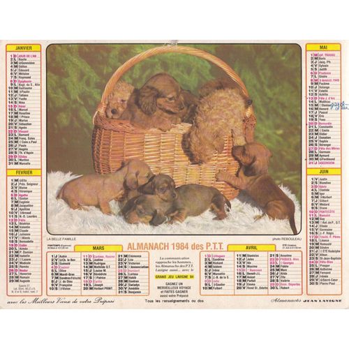 Calendrier Almanach Ptt 1984 / Chiots / Filette Et Chien / Interieur Complet