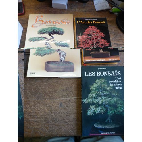 Lot De 3 Livres Sur Les Bonsaïs : L'art De Cultiver Les Arbres Nains De Jean Genotti - L'art Des Bonsaïs De Isabelle Et Remy Samson - Bonsaïs Par Christine Stewart