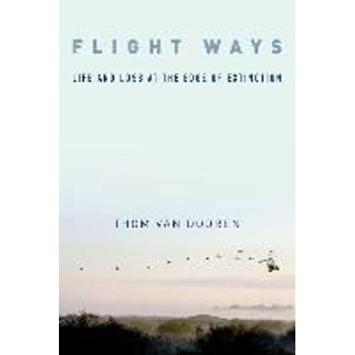 Flight Ways