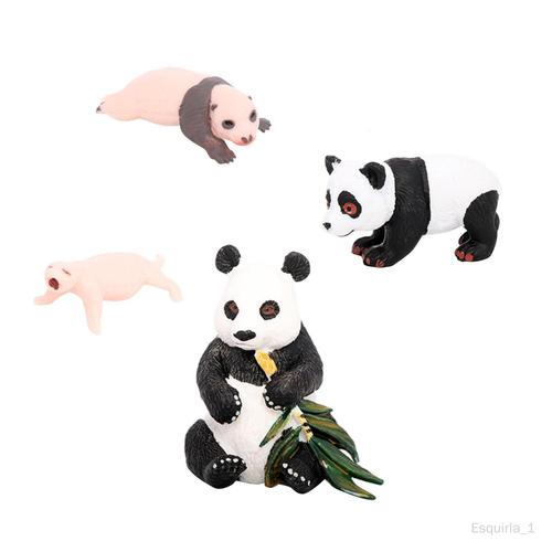4 Modèles De Vie D'animaux Panda, Jouets Éducatifs, Accessoires De Croissance Du Panda 1 Cycle De Croissance Du Panda 1