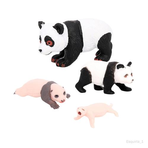 4 Modèles De Vie D'animaux Panda, Jouets Éducatifs, Accessoires De Croissance Du Panda 3 Cycle De Croissance Du Panda 3