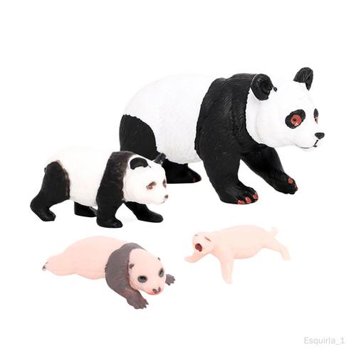 4 Modèles De Vie D'animaux Panda, Jouets Éducatifs, Accessoires De Croissance Du Panda 2 Cycle De Croissance Du Panda 2