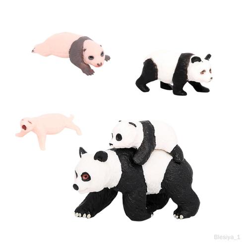 4x Panda Animal Cycle De Vie Modèle Jouets Éducatifs Jouets Cognitifs Pour Cycle De Croissance Du Panda 4