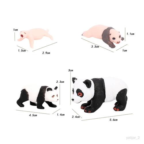Modèle De Vie Animal Panda 4 Pièces, Accessoires De Classe, Jouets Éducatifs, Figurines De Croissance De Panda De Développement Pour Cycle De Croissance Du Panda 3