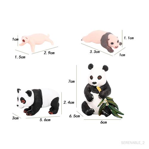 Modèle De Vie Animal Panda, Jouets Éducatifs, Jouets Cognitifs Pour Cycle De Croissance Du Panda 1