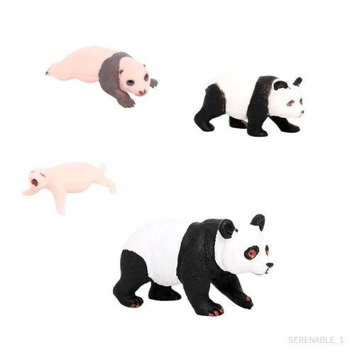 Modèle De Vie Animal Panda, Jouets Éducatifs, Jouets Cognitifs Pour Cycle De Croissance Du Panda 2