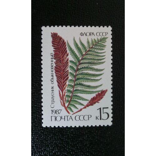 Timbre Russie ( Urss ) Yt 5424 Fougères Matteuccia Struthiopteris 1987