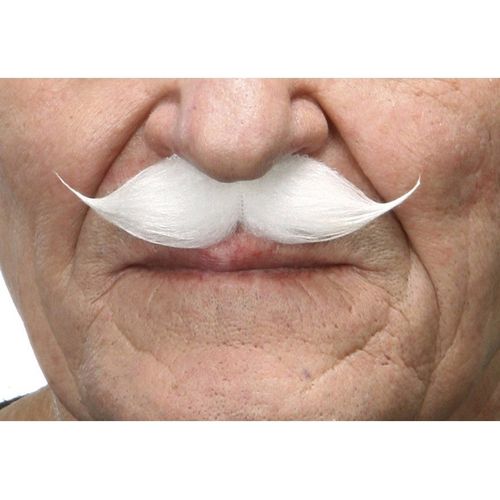 Moustache D??Poque Blanc