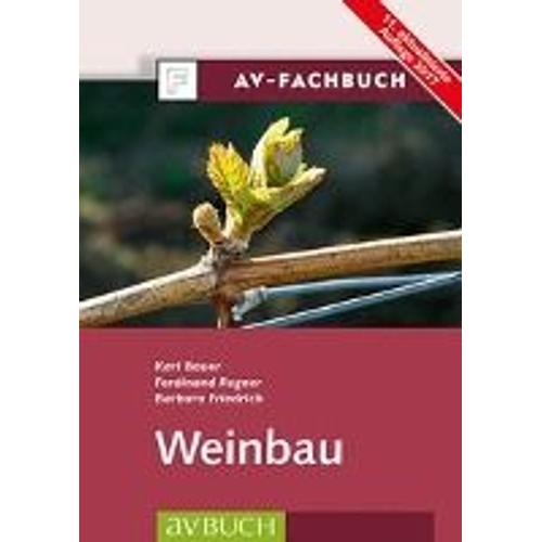 Weinbau