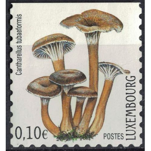 Luxembourg 2004 Sans Gomme Used Champignon Cantharellus Tubaeformis Chanterelle En Tube