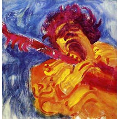The Jimi Hendrix Concerts