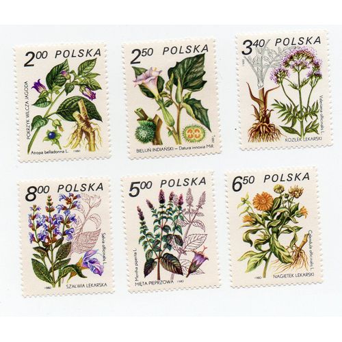 Pologne- Série De 6 Timbres Neufs- Plantes Médicinales