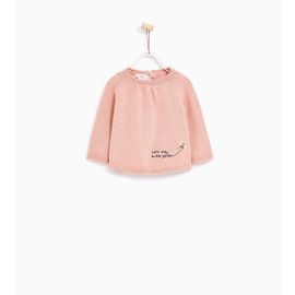 Pull Avec Abeille Brodée (Zara)