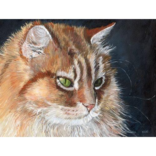 Peinture Acrylique Signee Maexi Chat Domestique Rakuten