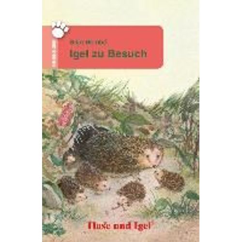 Igel Zu Besuch