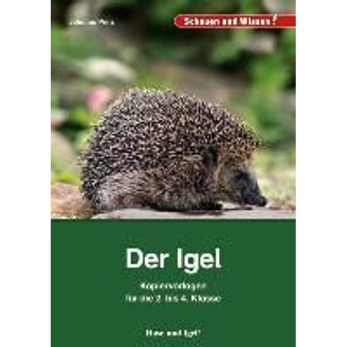 Der Igel - Kopiervorlagen Für Die 2. Bis 4. Klasse