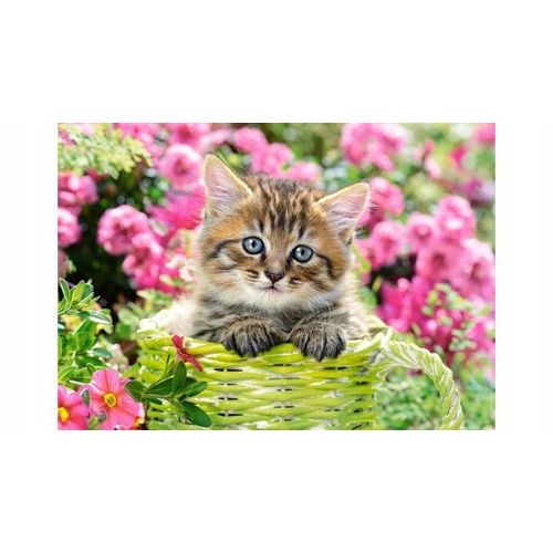 Puzzle 500 Pièces Kitten In Flower Garden